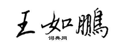 王正良王如鹏行书个性签名怎么写