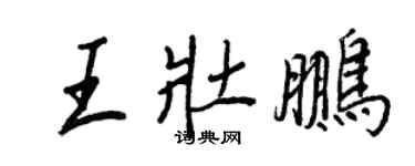 王正良王壮鹏行书个性签名怎么写