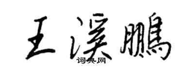 王正良王溪鹏行书个性签名怎么写