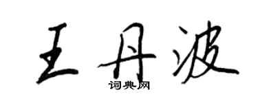 王正良王丹波行书个性签名怎么写