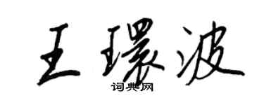 王正良王环波行书个性签名怎么写