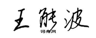 王正良王能波行书个性签名怎么写