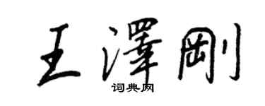 王正良王泽刚行书个性签名怎么写