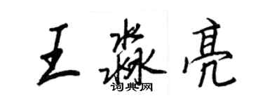 王正良王淼亮行书个性签名怎么写