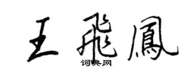 王正良王飞凤行书个性签名怎么写