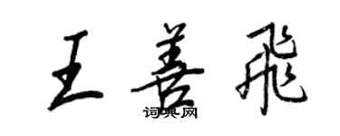 王正良王善飞行书个性签名怎么写