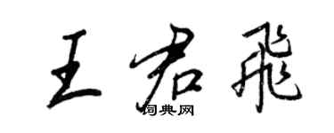 王正良王君飞行书个性签名怎么写