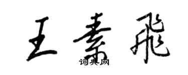 王正良王素飞行书个性签名怎么写