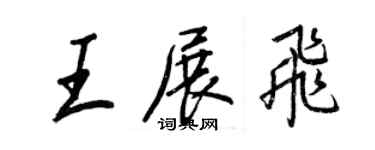王正良王展飞行书个性签名怎么写