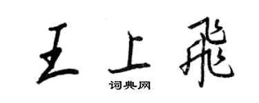 王正良王上飞行书个性签名怎么写