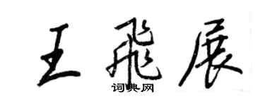 王正良王飞展行书个性签名怎么写