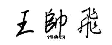 王正良王帅飞行书个性签名怎么写