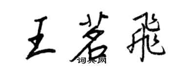 王正良王茗飞行书个性签名怎么写