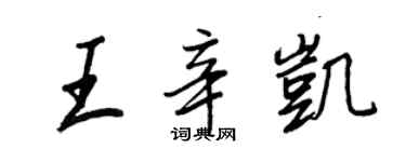 王正良王辛凯行书个性签名怎么写