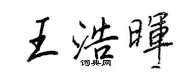 王正良王浩晖行书个性签名怎么写