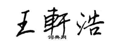王正良王轩浩行书个性签名怎么写