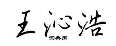 王正良王沁浩行书个性签名怎么写