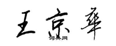 王正良王京华行书个性签名怎么写