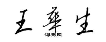 王正良王华生行书个性签名怎么写