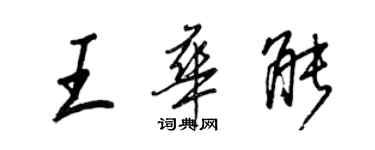 王正良王华能行书个性签名怎么写