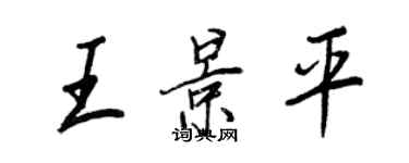王正良王景平行书个性签名怎么写