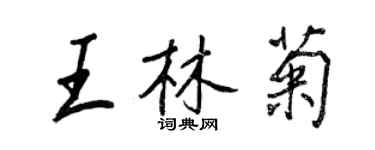 王正良王林菊行书个性签名怎么写
