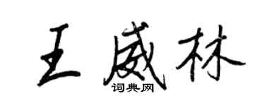 王正良王威林行书个性签名怎么写
