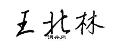 王正良王北林行书个性签名怎么写