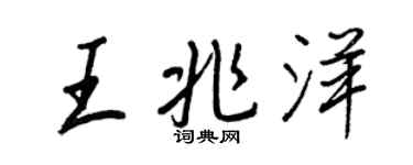 王正良王兆洋行书个性签名怎么写