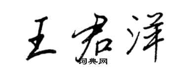 王正良王君洋行书个性签名怎么写