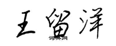 王正良王留洋行书个性签名怎么写
