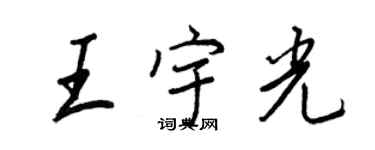 王正良王宇光行书个性签名怎么写