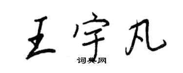 王正良王宇凡行书个性签名怎么写