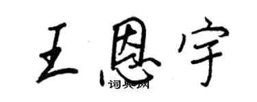 王正良王恩宇行书个性签名怎么写
