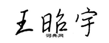 王正良王昭宇行书个性签名怎么写