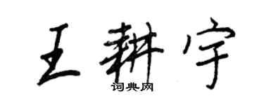 王正良王耕宇行书个性签名怎么写