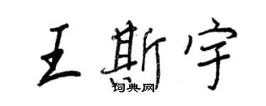 王正良王斯宇行书个性签名怎么写