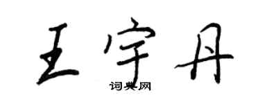 王正良王宇丹行书个性签名怎么写