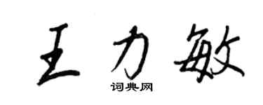 王正良王力敏行书个性签名怎么写