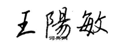 王正良王阳敏行书个性签名怎么写