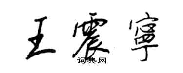 王正良王震宁行书个性签名怎么写