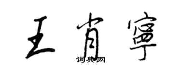 王正良王肖宁行书个性签名怎么写