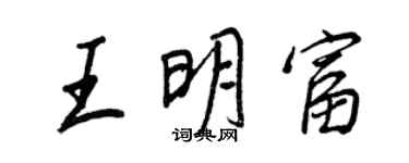 王正良王明富行书个性签名怎么写