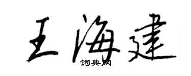 王正良王海建行书个性签名怎么写