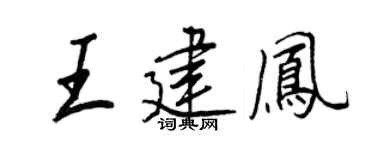 王正良王建凤行书个性签名怎么写