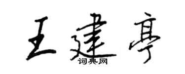 王正良王建亭行书个性签名怎么写