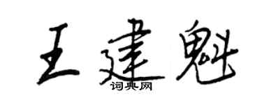 王正良王建魁行书个性签名怎么写