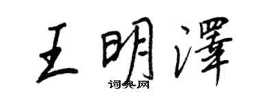 王正良王明泽行书个性签名怎么写