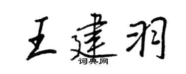 王正良王建羽行书个性签名怎么写