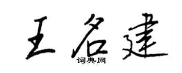 王正良王名建行书个性签名怎么写